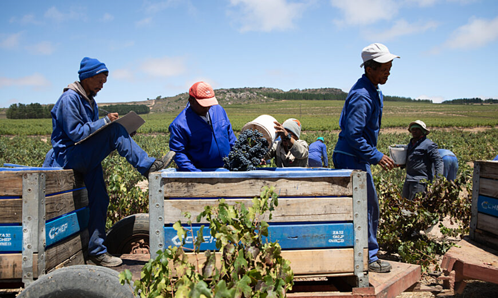 Workers
